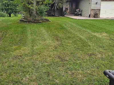Lawn Care service in Columbia Heights, 55421