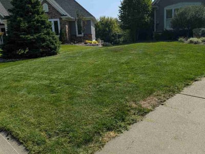 Lawn Care service in Columbia Heights, 55421