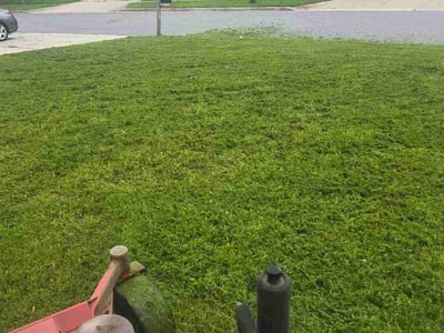 Lawn Care service in College Park, 20742