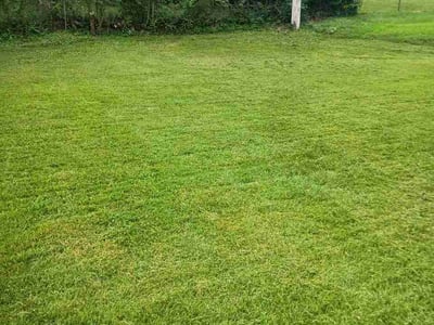 Lawn Care service in Union, 63084