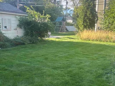Lawn Care service in Royal Oak, 48067