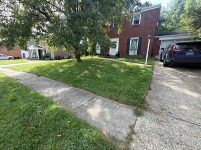 Lawn Care service in ,