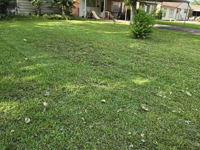 Lawn Care service in Chino, 91710