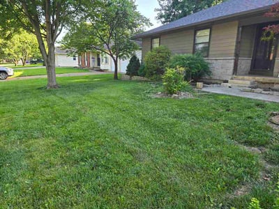 Lawn Care service in Waterloo, 64097
