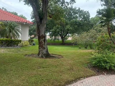Lawn Care service in Kent, 98032