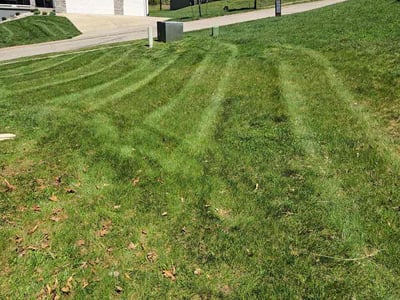 Lawn Care service in Jefferson City, 65101