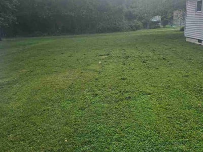 Lawn Care service in Bridgeton, 08302