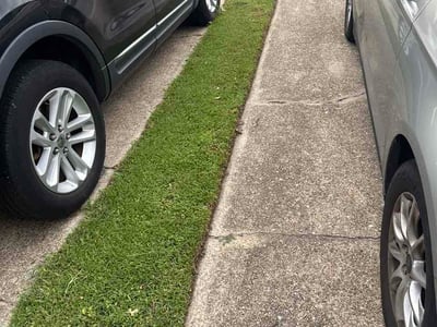 Lawn Care service in Yorktown, 23690
