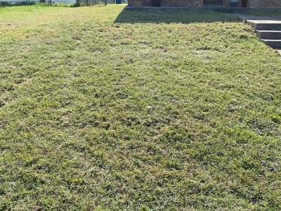 Lawn Care service in Brunswick, 04011