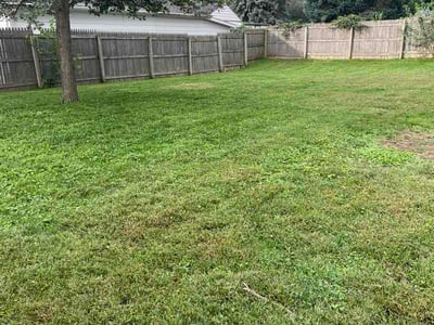 Lawn Care service in Council Bluffs, 51501