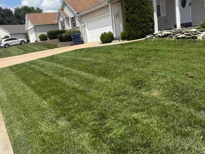 Lawn Care service in Saint Peters, 63376