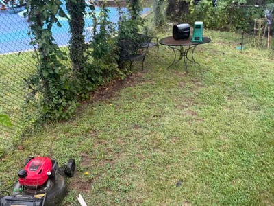 Lawn Care service in Hyattsville, 20781