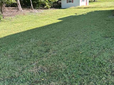Lawn Care service in Upper Marlboro, 20772