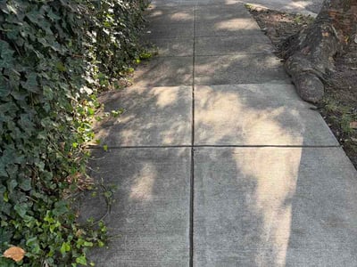 Lawn Care service in Lorton, 22079