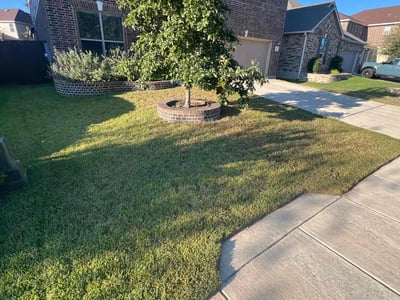 Lawn Care service in Shavano Park, 78231