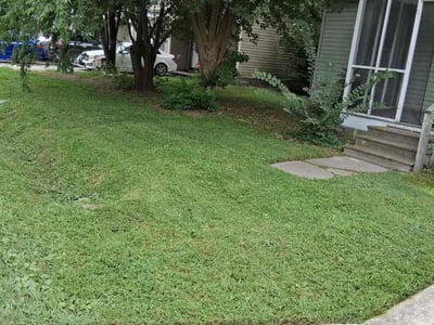 Lawn Care service in Staunton, 24401