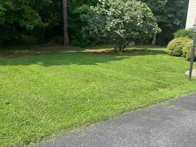 Lawn Care service in Chesterfield, 23832