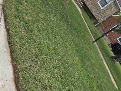 Lawn Care service in Capitol Heights, 20743