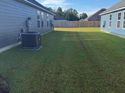 Lawn Care service in Brunswick, 31520
