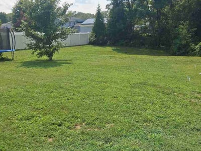 Lawn Care service in Waldorf, 20603