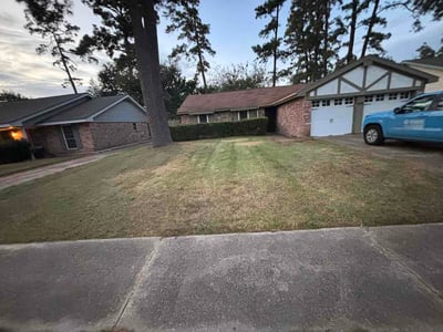 Lawn Care service in La Vernia, 78121