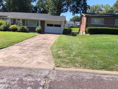 Lawn Care service in Clayton, 63105