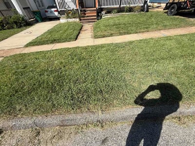 Lawn Care service in Clayton, 63105