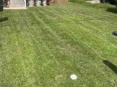 Lawn Care service in Havana, 32333