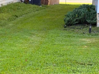 Lawn Care service in Havana, 32333