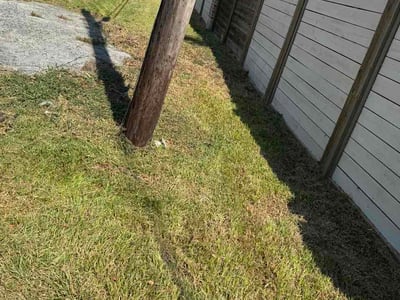 Lawn Care service in La Porte, 77571