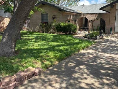 Lawn Care service in Alamo Heights, 78209