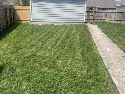 Lawn Care service in Alamo Heights, 78209