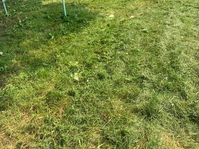 Lawn Care service in Farmington, 55024