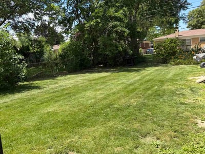 Lawn Care service in Brighton, 48116