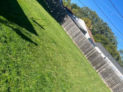Lawn Care service in Madison Heights, 48071