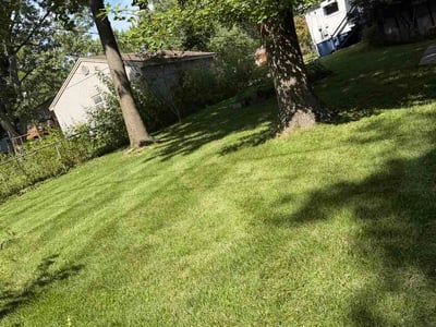 Lawn Care service in Parkville, 64152