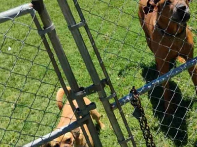 Lawn Care service in Wichita Falls, 76301