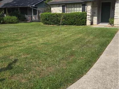 Lawn Care service in Spring, 77373