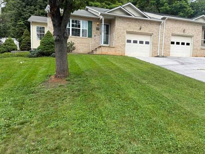 Lawn Care service in Front Royal, 22630