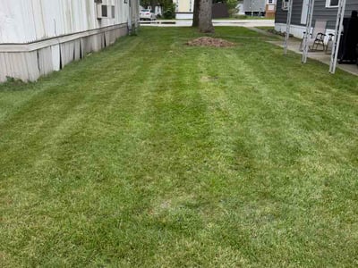 Lawn Care service in Dewitt, 48820