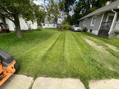 Lawn Care service in Dewitt, 48820