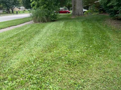 Lawn Care service in Bellefonte, 16823