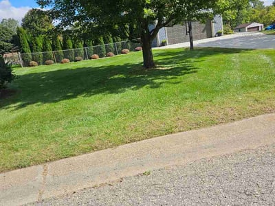 Lawn Care service in Oxford, 48371