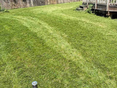 Lawn Care service in Bethel Park, 15102