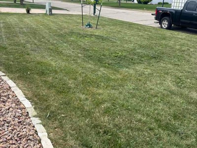 Lawn Care service in Menasha, 54952
