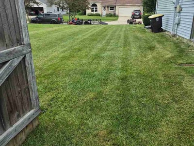 Lawn Care service in Menasha, 54952