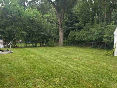 Lawn Care service in Southfield, 48075