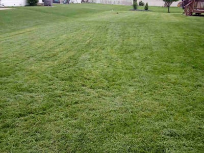 Lawn Care service in Sheboygan, 53081