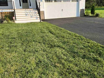 Lawn Care service in Charles City, 23030
