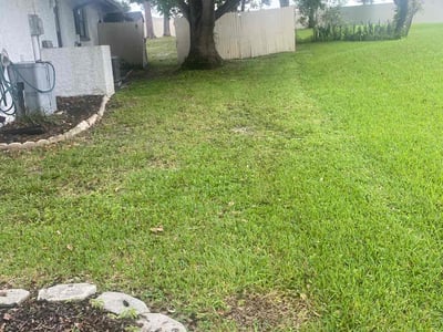 Lawn Care service in Yuba City, 95991